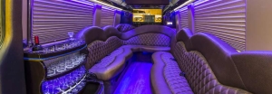 new orleans party buses